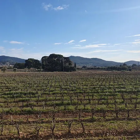 Le Carthage Διαμέρισμα Saint-Cyr-sur-Mer